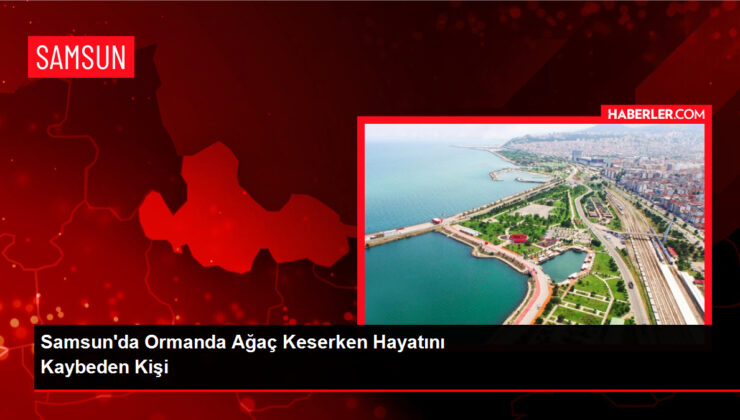 Samsun’da Ormanda Ağaç Keserken Hayatını Kaybeden Kişi