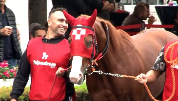 2024 Sonbahar Egzersizde Seçkin 2 Yaşlı Safkan İngiliz Tay Satışı Yapıldı