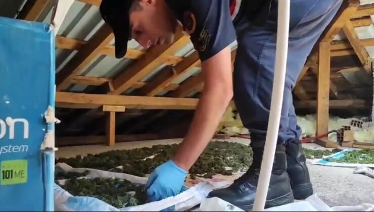 Samsun’da Uyuşturucu Operasyonu: 8 Kilo Esrar Ele Geçirildi